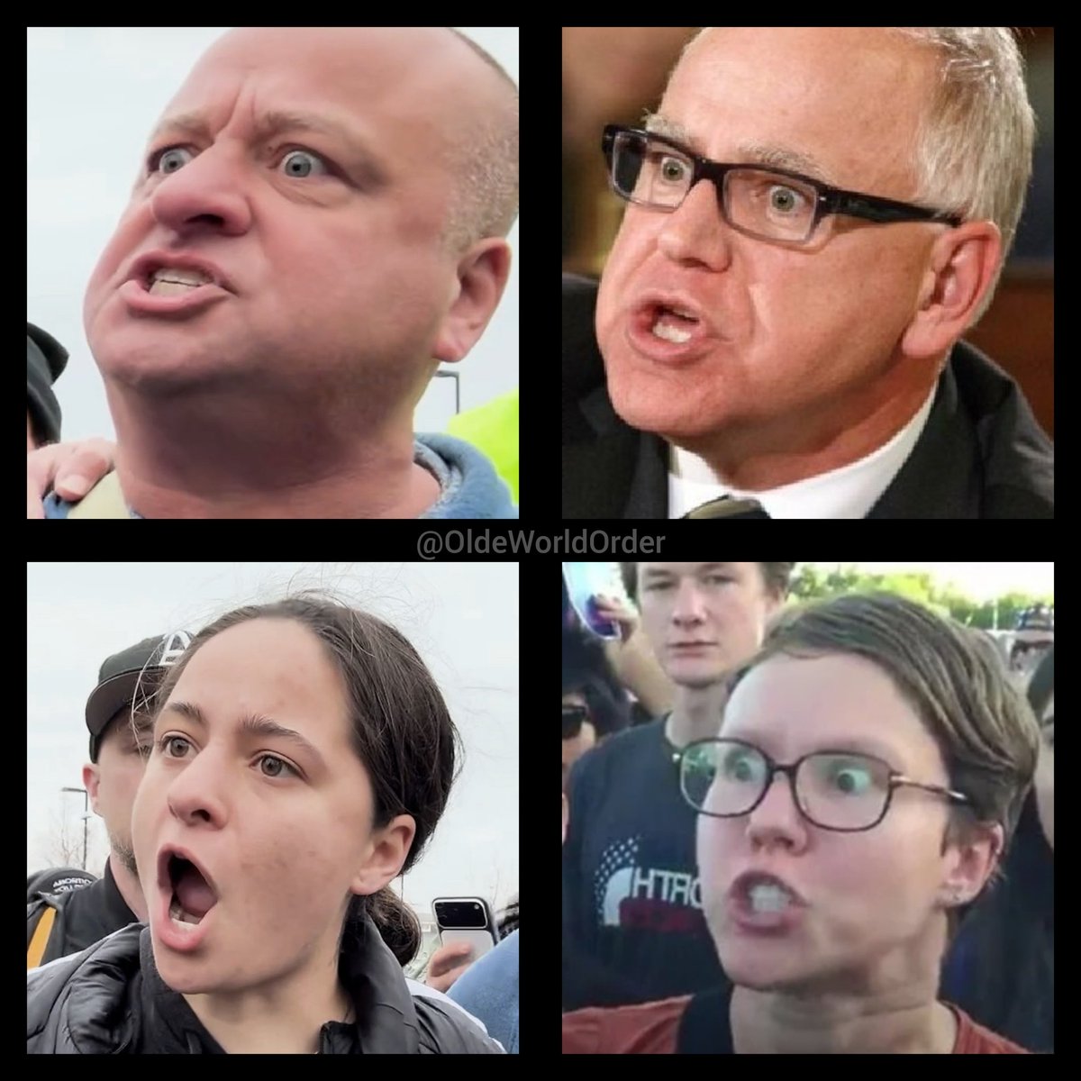 The Conservative Alternative tweet media