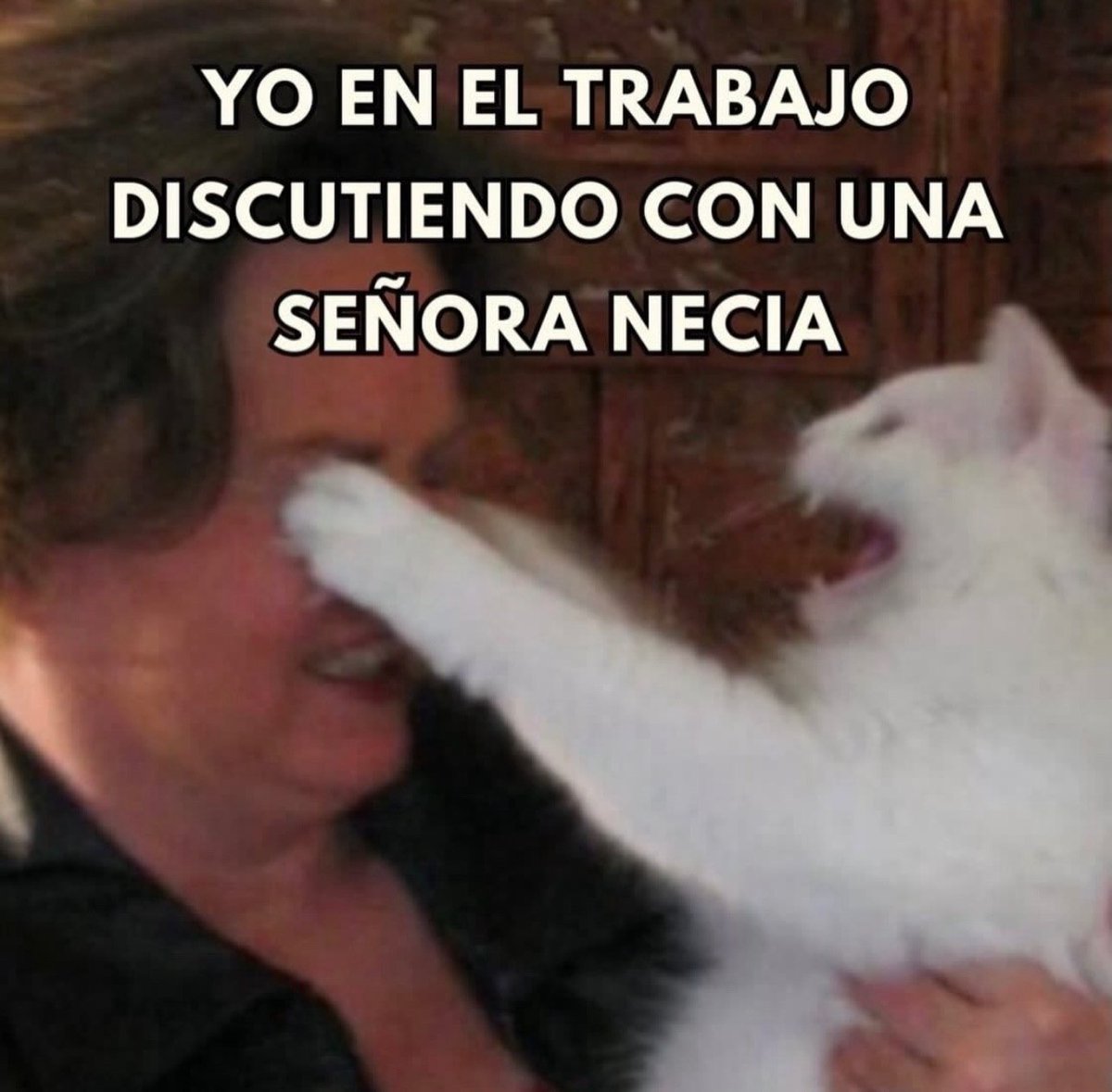 Mundo de Bigotes tweet media
