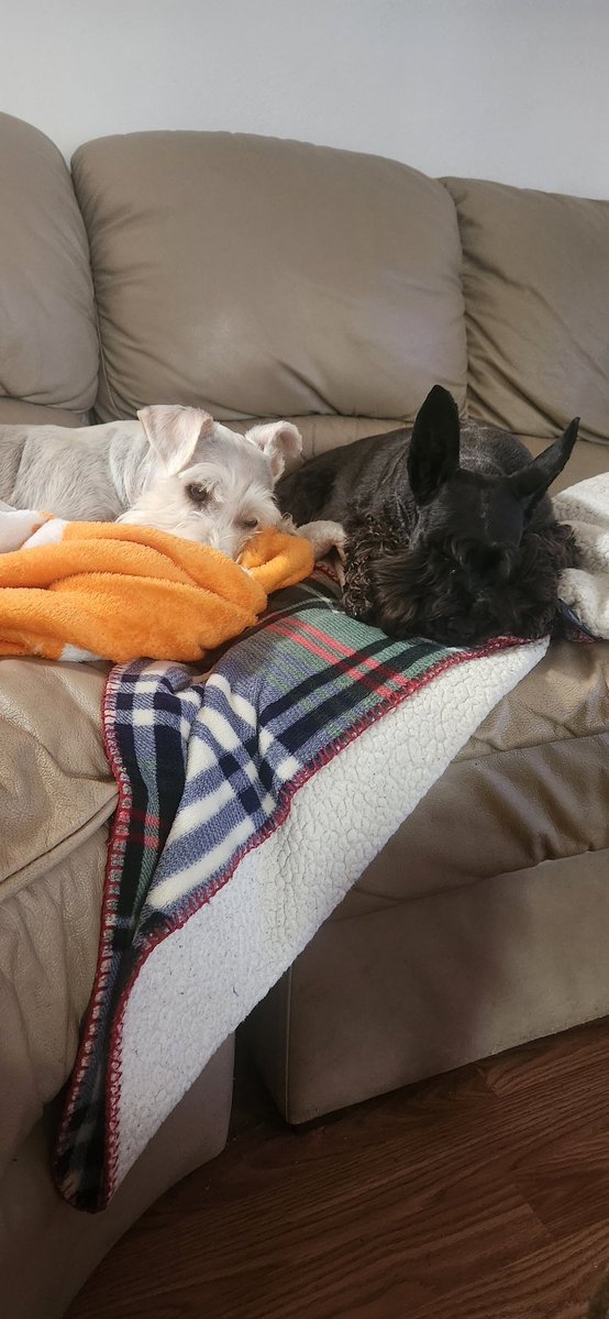 Bev in Virginia 🍊 tweet media