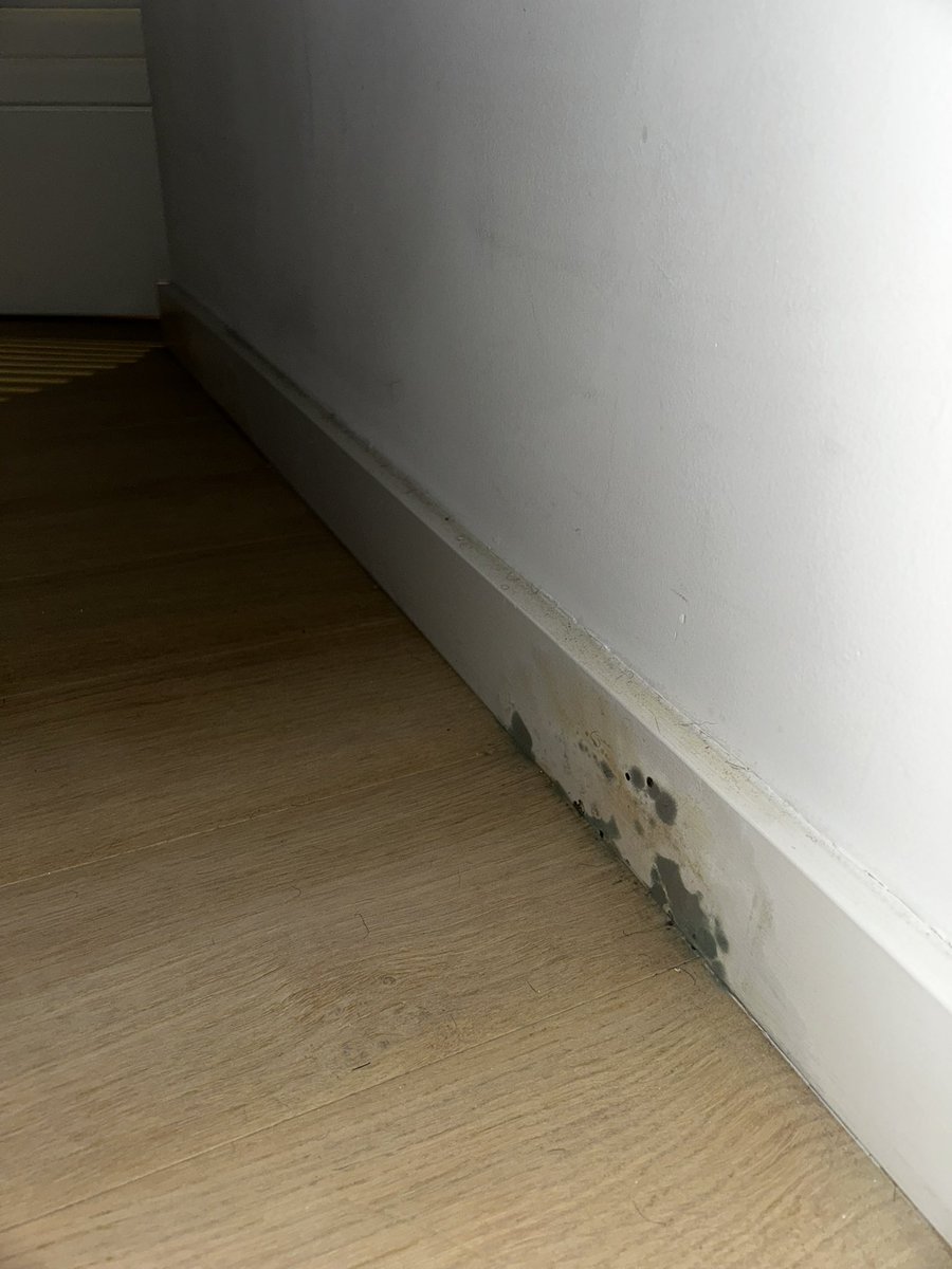 hellagoated415 tweet media