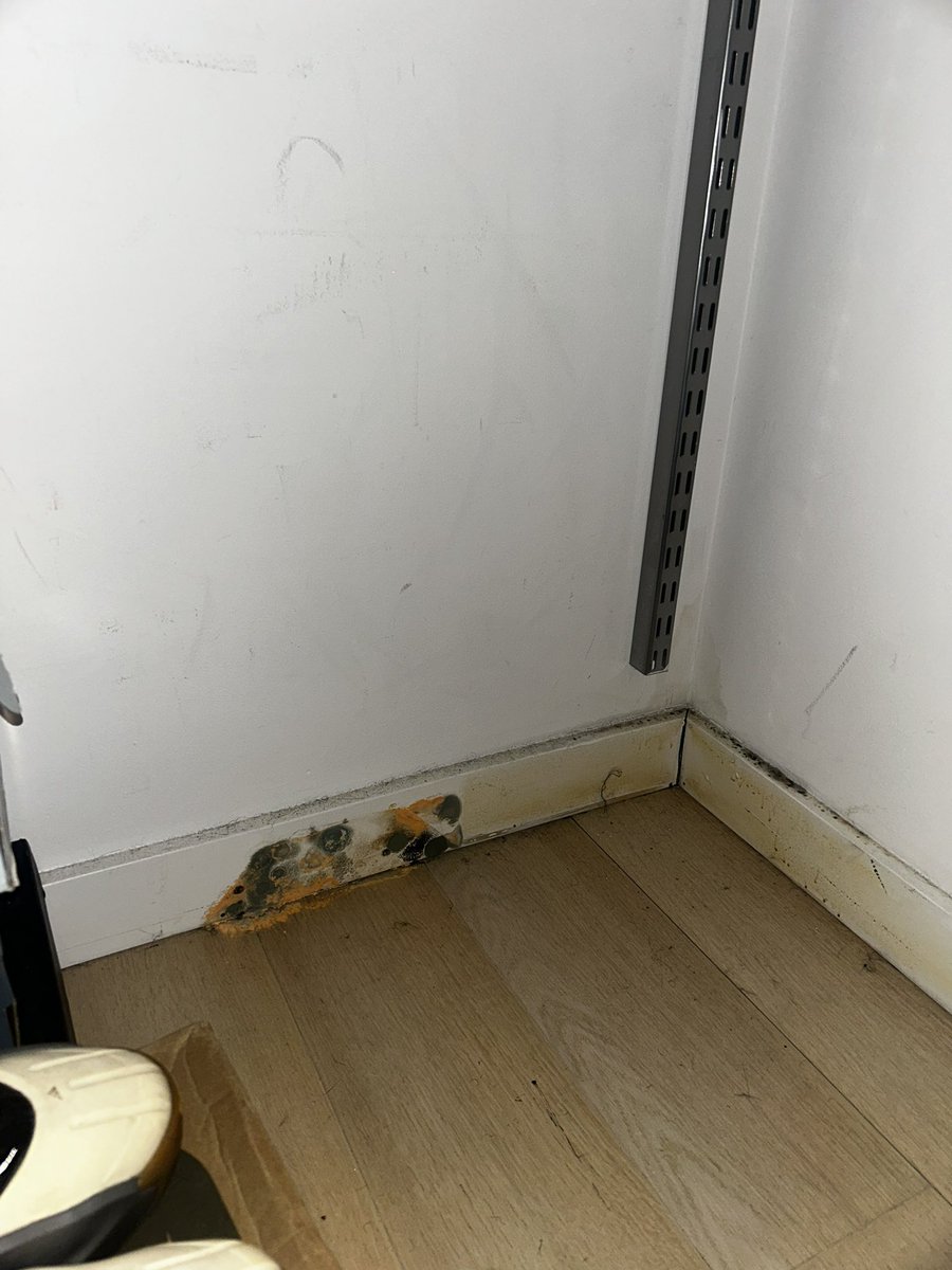 hellagoated415 tweet media