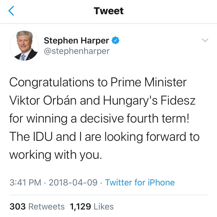 Shannon Phillips 🇨🇦 tweet media