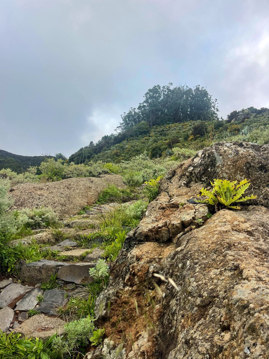 Soraya Manjón Vega tweet media