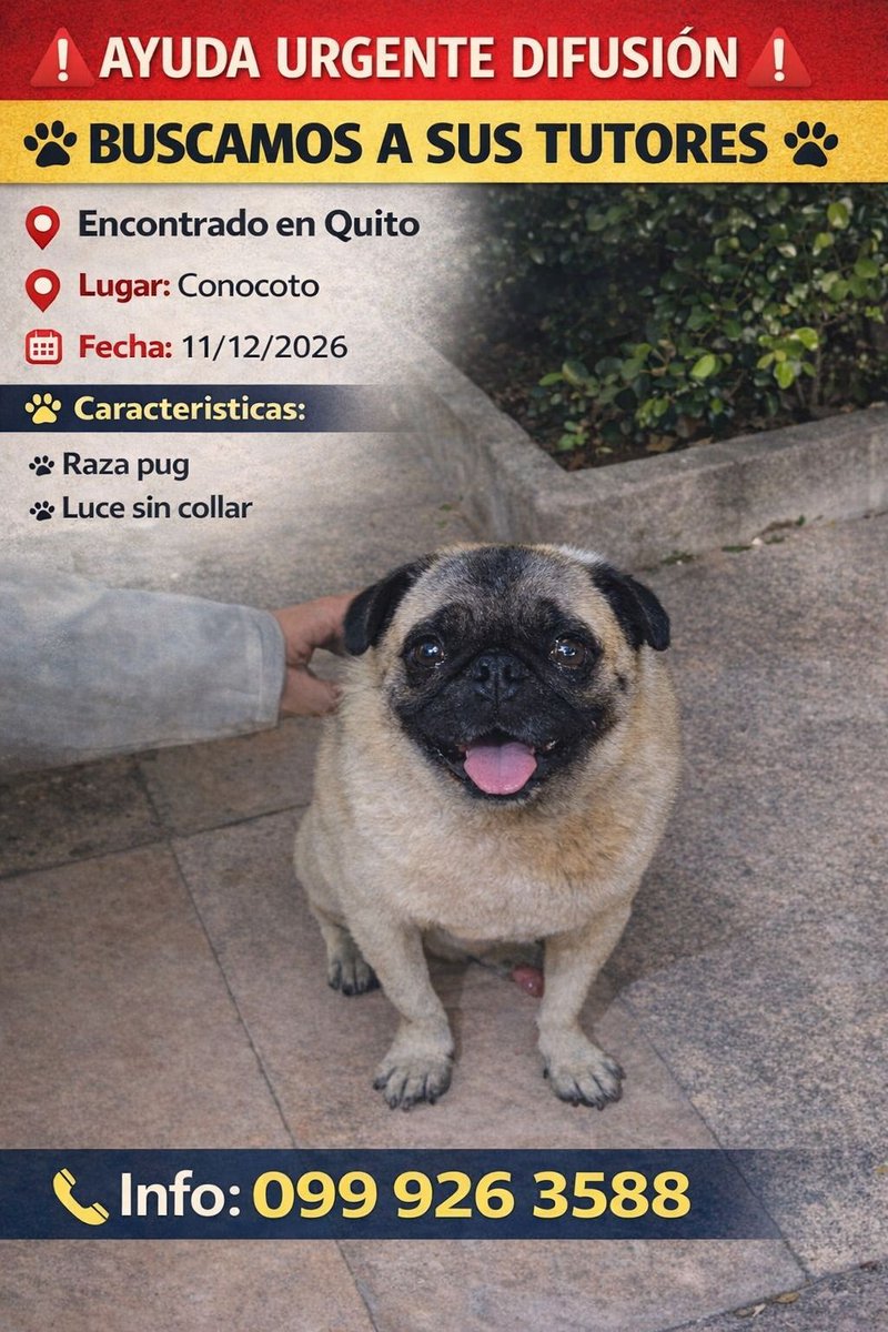 #Quito, ¡Ayudemos a Encontrar a sus Tutores! 
¡Comparte!