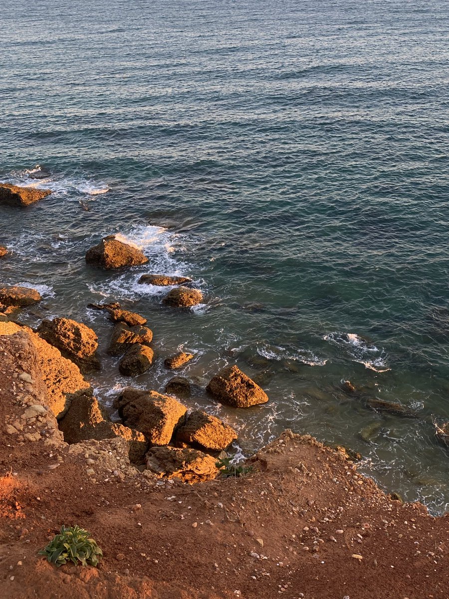 Lo que sana tener el mar por hogar ✨✨✨