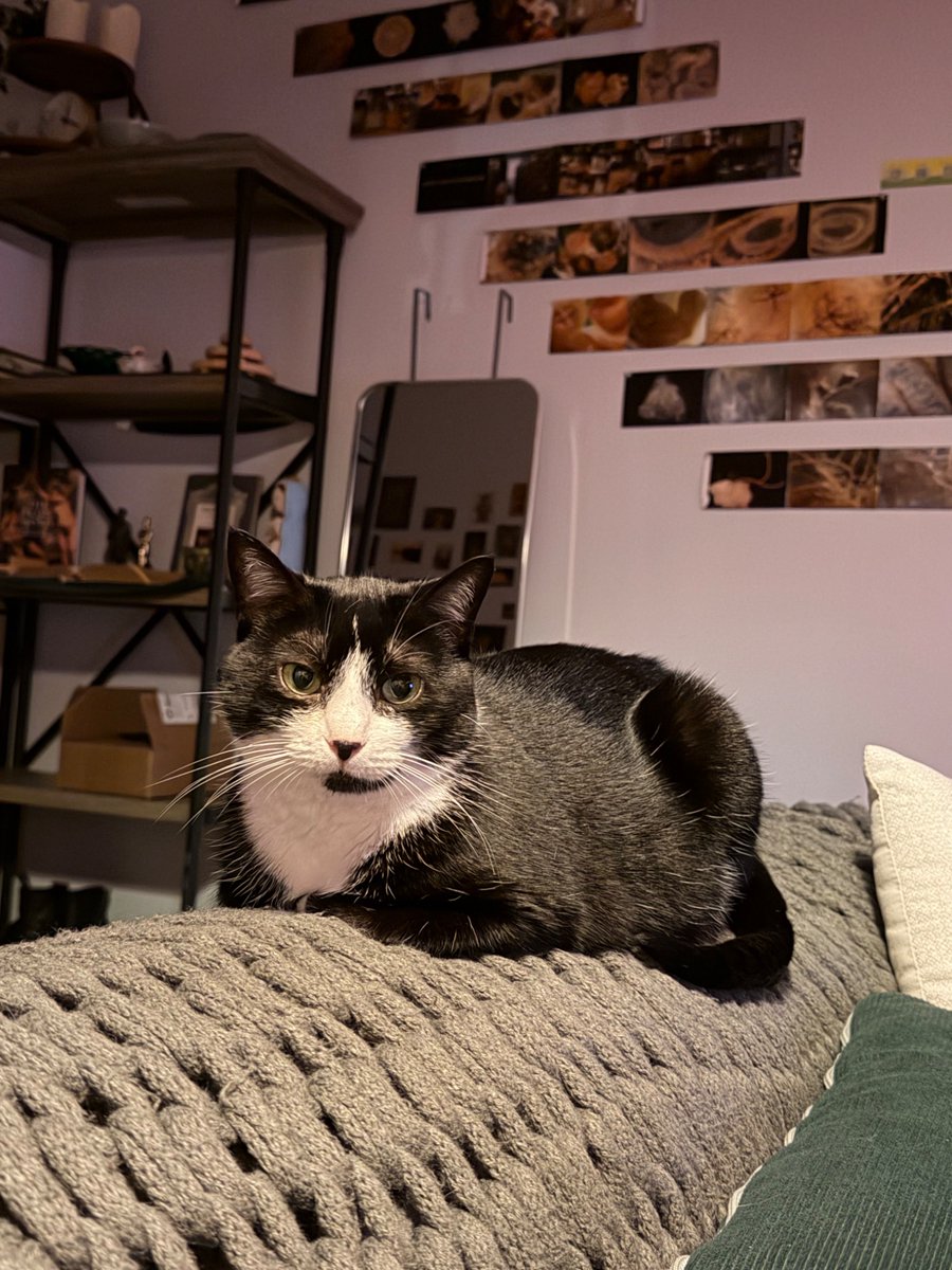 Valery 🔞 MDNI tweet media