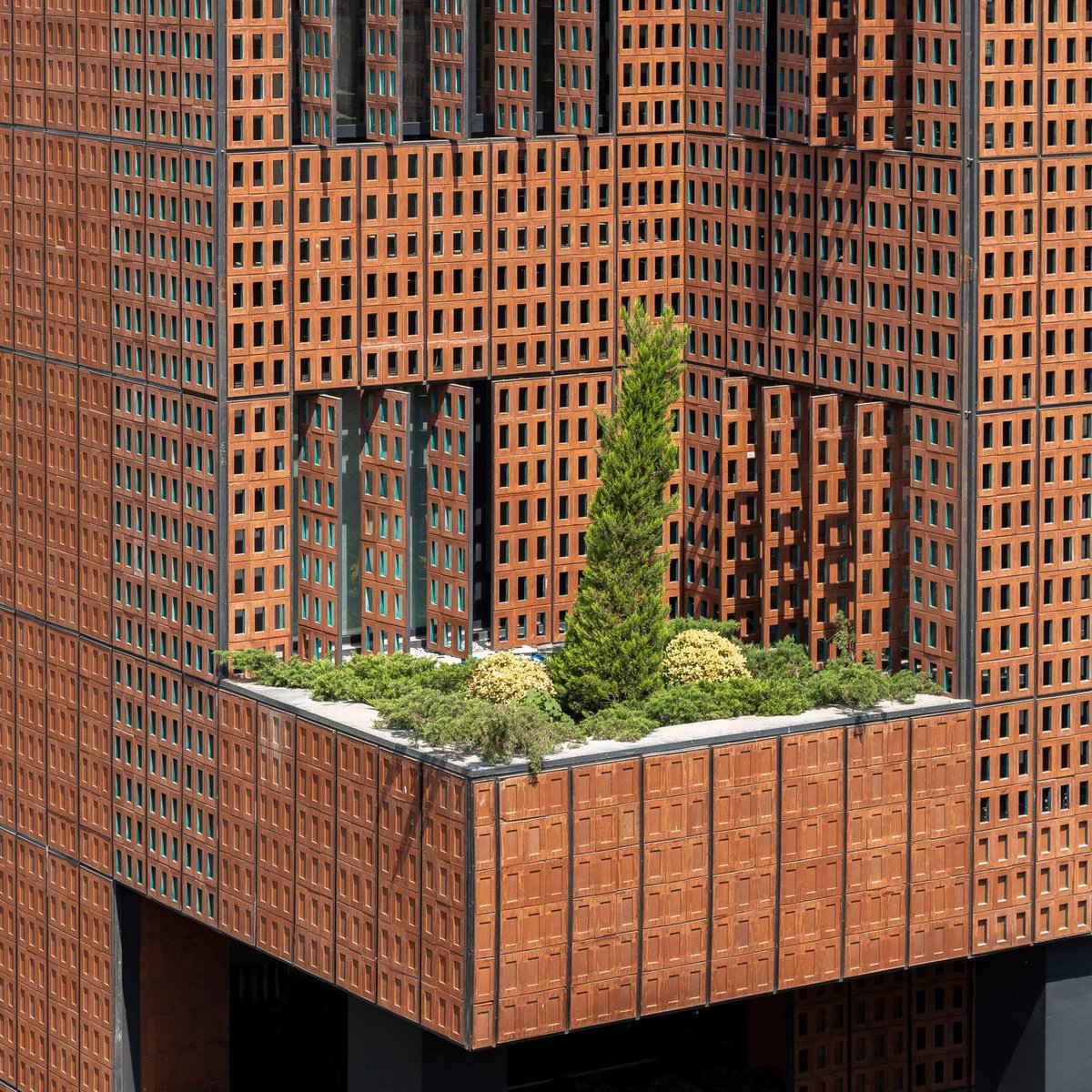 Bryan Cheong tweet media