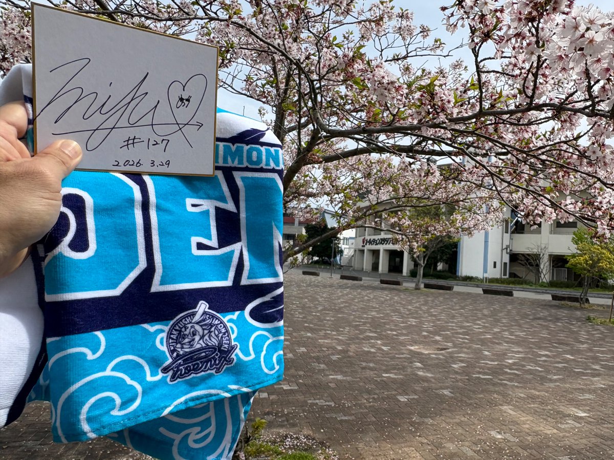 MK SCRATCH tweet media