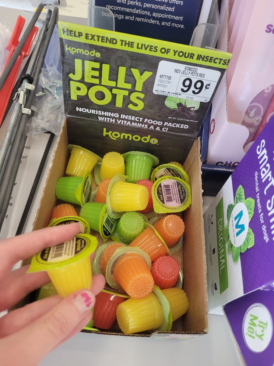 🐇💜~Leslie/Celestine/Ocellus/June/Rezi♋️ tweet media