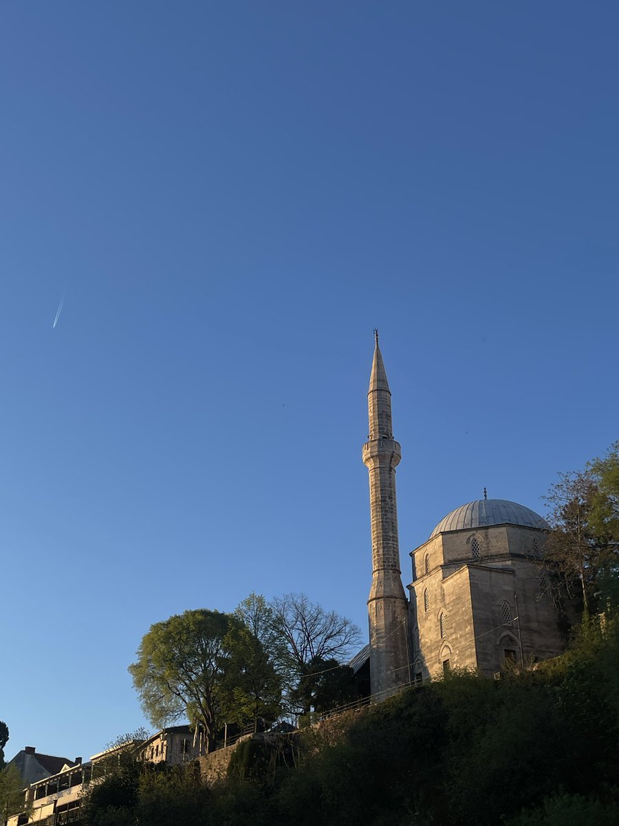 علاوي tweet media