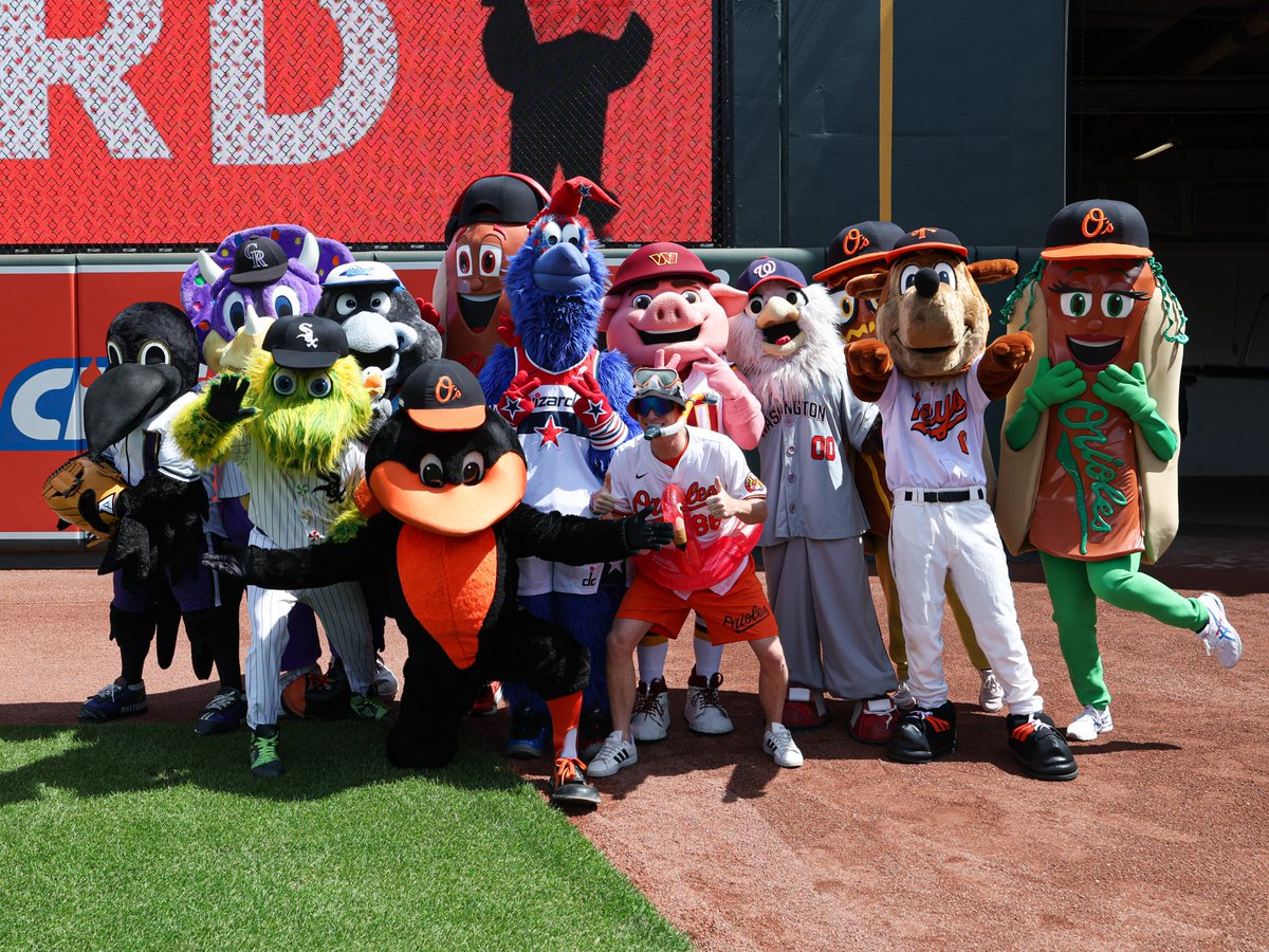 The Oriole Bird tweet media