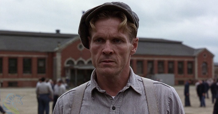 cinesthetic. tweet media