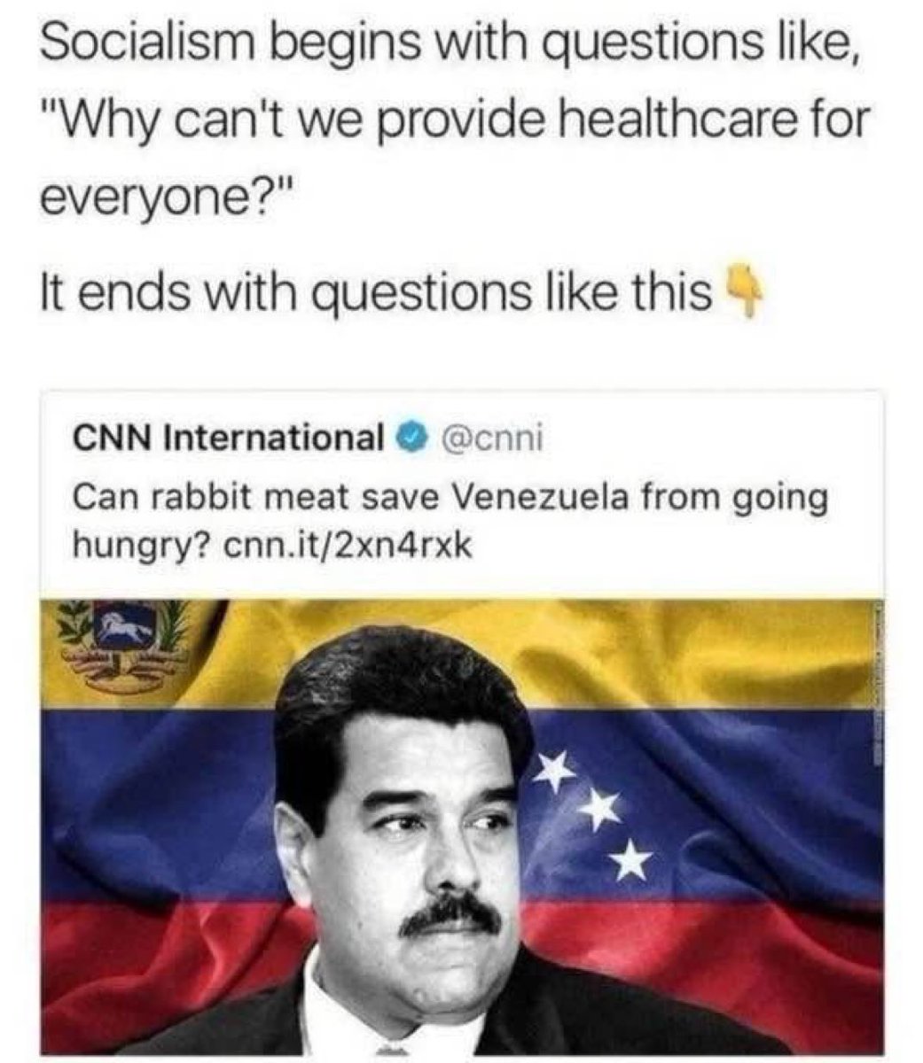 The Rabbit Hole tweet media