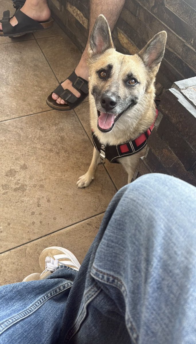 fucklett tweet media