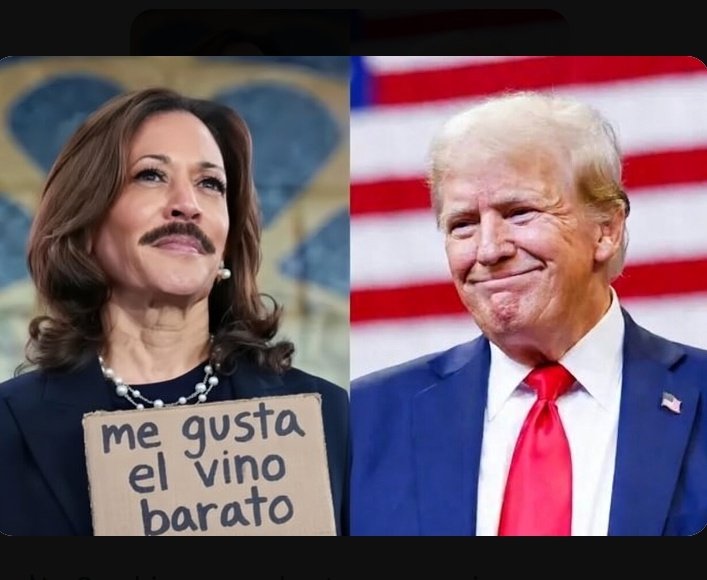 Gustavo Cardenas🥸 tweet media