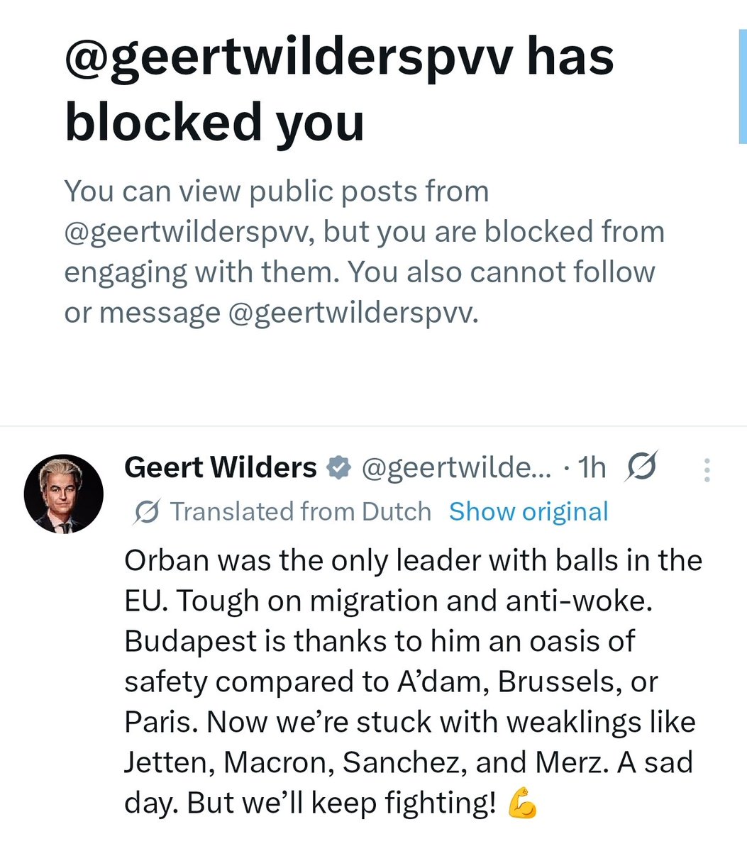 Kadi🇪🇪🌻 tweet media