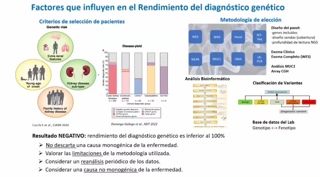 LilianCVillalba's tweet image. #Webinar #Genética #EnfermedadRenal 🧬 𝗥𝗲𝗻𝗱𝗶𝗺𝗶𝗲𝗻𝘁𝗼 𝗱𝗲𝗹 𝗱𝗶𝗮𝗴𝗻ó𝘀𝘁𝗶𝗰𝗼 𝗴𝗲𝗻é𝘁𝗶𝗰𝗼. Dra Elisabet Ars