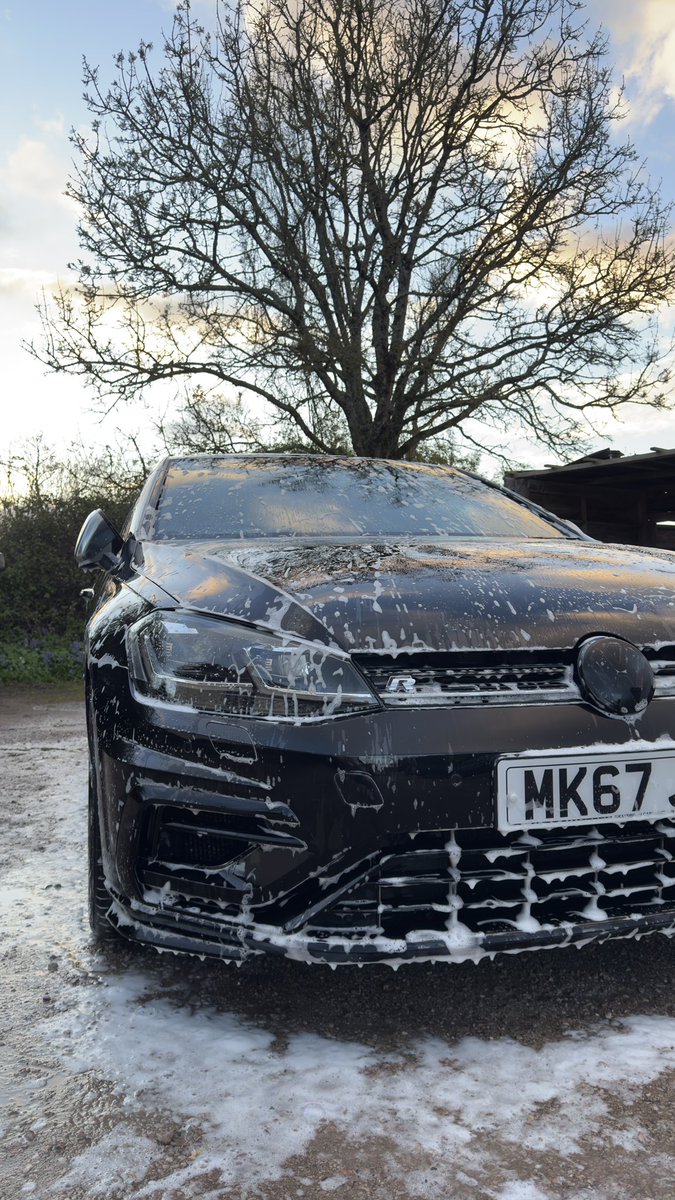 Jamie Dąbrowiecki tweet media