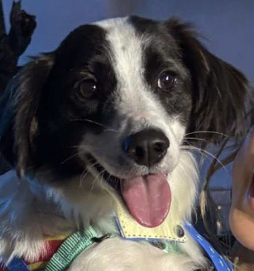 plutão ⚢ | 💋🍍 tweet media