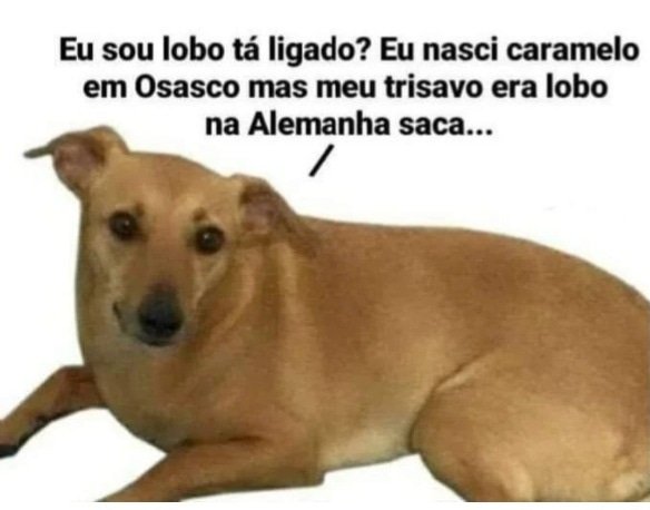 Spoon_Man tweet media