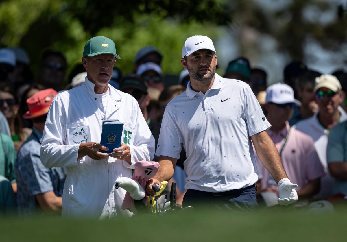 Terri Green tweet media