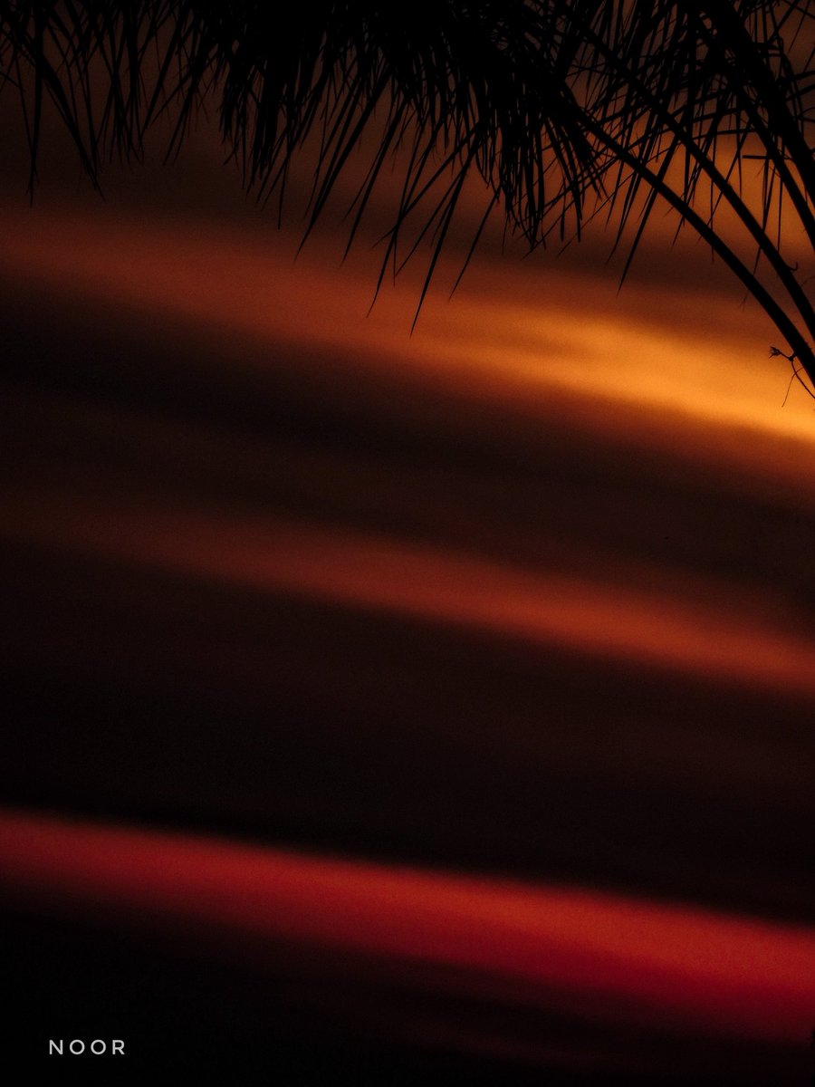 NOOR 𓂆 tweet media