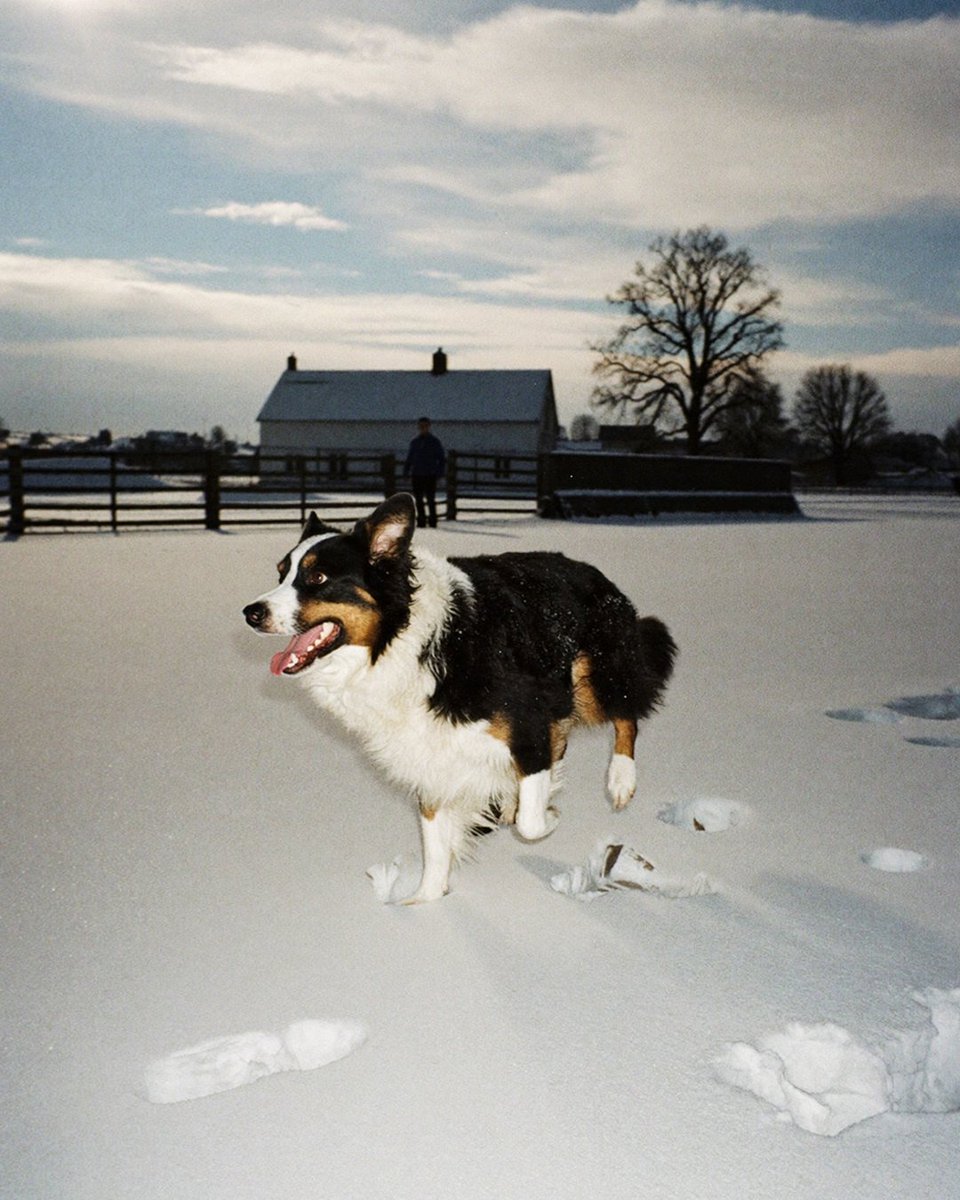 Will Weinbach tweet media