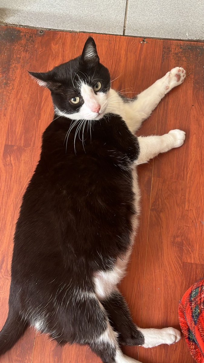 mily 🌼 tweet media