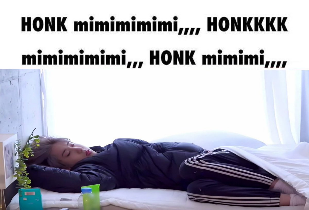 ️️ ️ tweet media