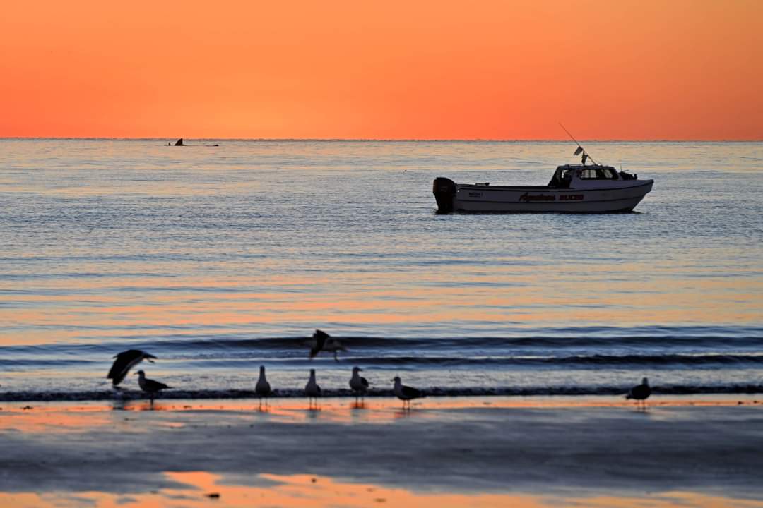 Patagnico272350's tweet photo. Puerto Madryn, Chubut - Argentina. https://t.co/s4TSLdc54D