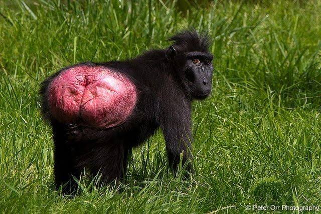 Ruthless tweet media