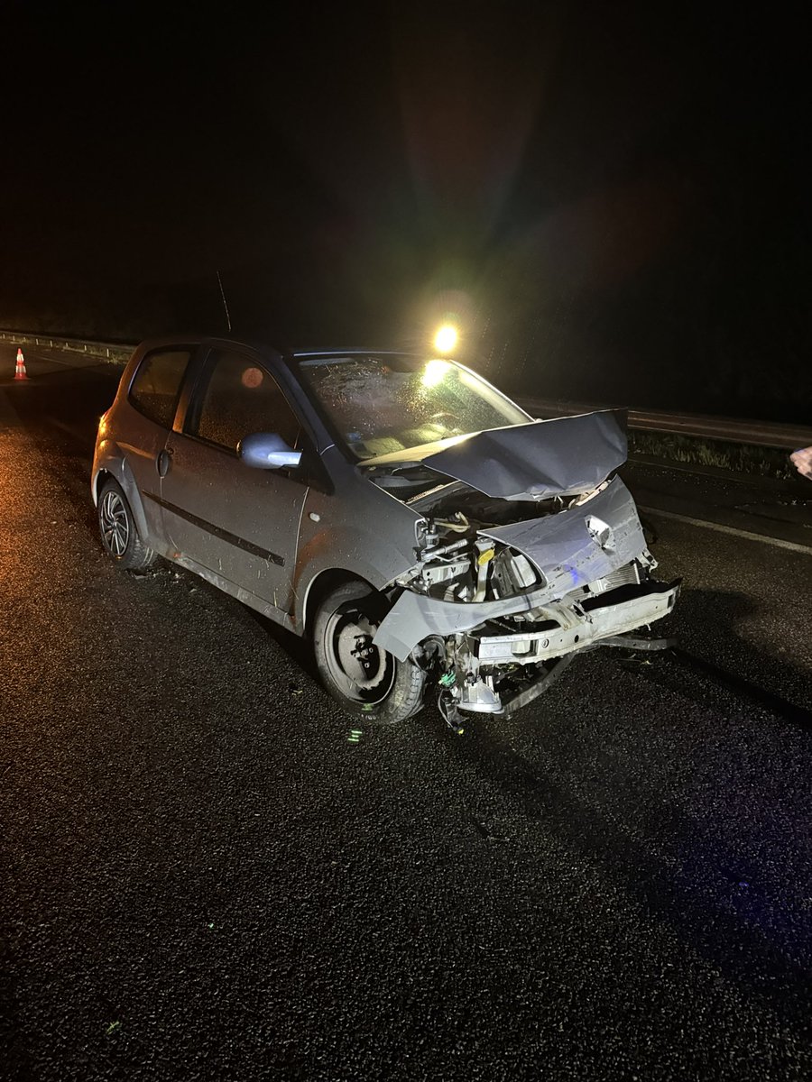 raph_gm's tweet photo. Deconnez pas sur la route. Ce soir je rentre de vacances et je fais un trajet habituel, pluie, nuit, « fais attention aux sangliers ». 
Le sanglier lui, il va bien. 
Ça aurait pu ne pas être mon cas si ma voiture n’avait pas tout tanké pour moi. Soyez prudents, toujours. https://t.co/j9QaANBDWW