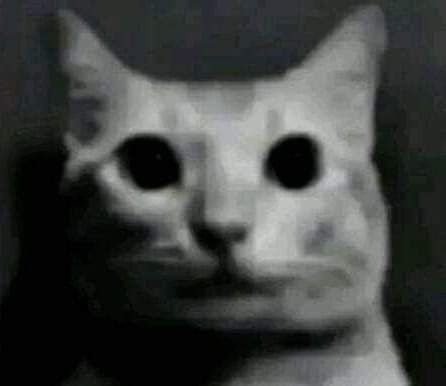 Resumo do dia:
- meu namorado está doente 
- um parente está com câncer e n tem mais jeito 
- quis me desviver 
- meu namorado ligou para minha mãe para ela ficar de olho em mim, ela achou ruim e ficou reclamando 
- estou sem dormir 
- não estou conseguindo comer
