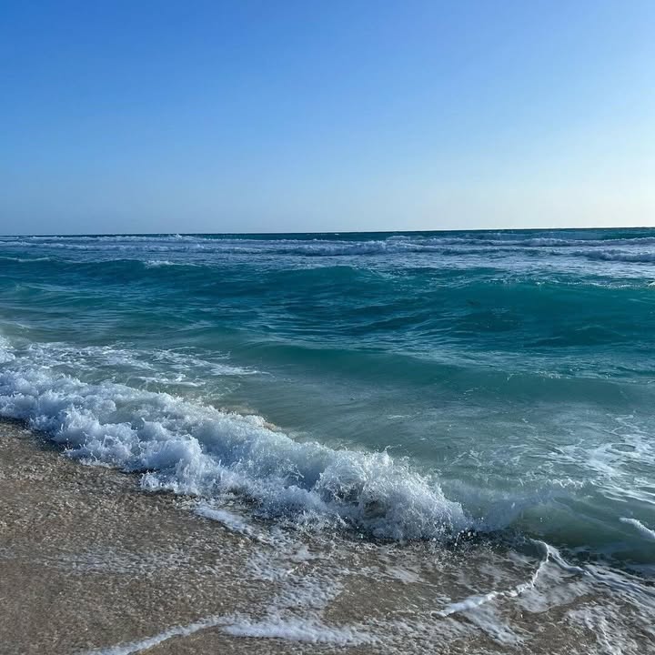 ILMairport's tweet photo. Escape to Mexico's sunny shores with @AmericanAir! ๐ฒ๐ฝ
Fly ILM to Miami and easily connect to bustling Cancun for a vacation filled with beach vibes and good times. ๐๐น Sun, sand, and margaritas await!
Book today at https://t.co/P55zVeRXAe.
๐ท ann_mihailovaa
#FlyILM #VisitCancun #CancunMexico #CancunTravel