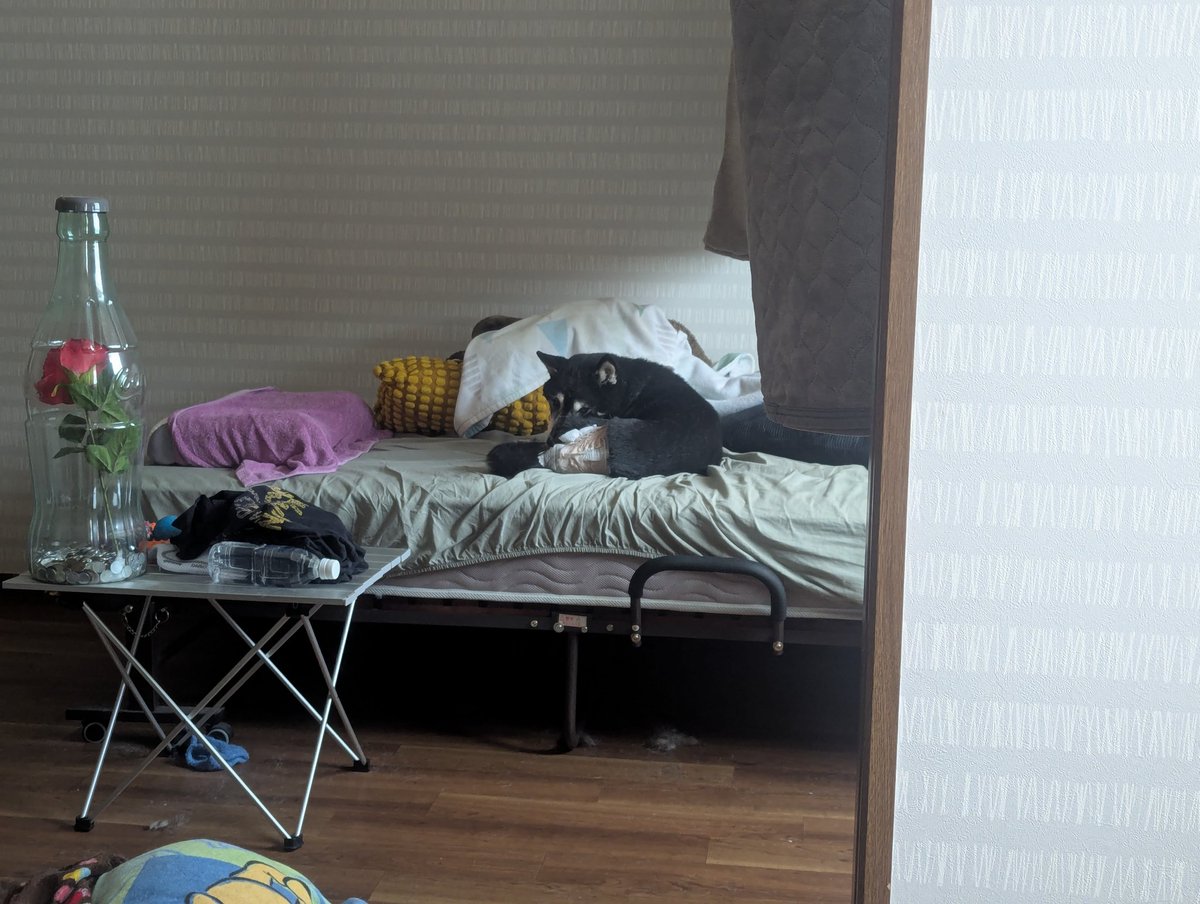 姉貴まぐろ/まろ吉小梅 tweet media