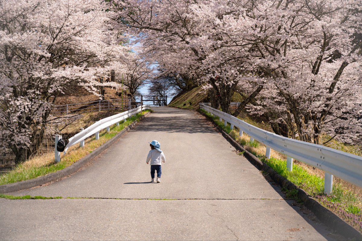 かずまさ@薪ストーブ職人二代目 tweet media