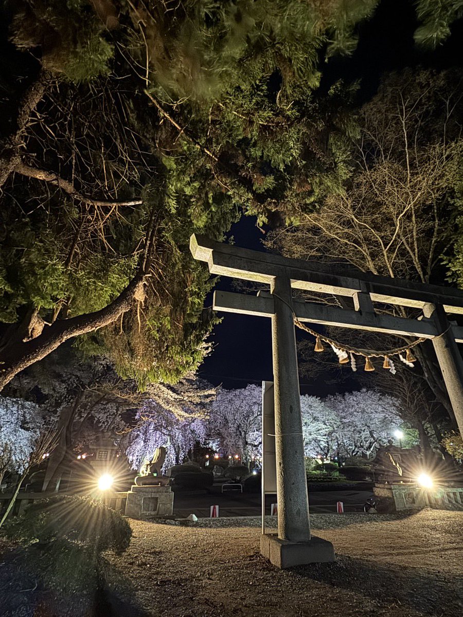 bususubu310's tweet photo. 今年も行けました
旦那ありがとうございます！ https://t.co/NAZzaS7Dsp