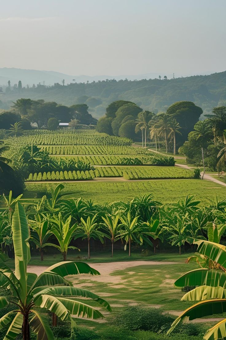 𝘨𝑟𝘦𝑒𝘯. tweet media