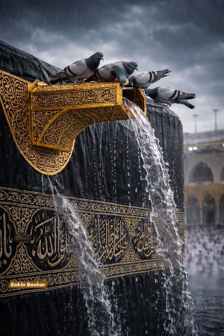 Pak Views tweet media