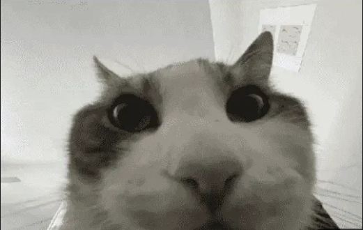 UserName🚬 tweet media