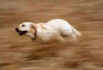 NewsloverPR tweet media