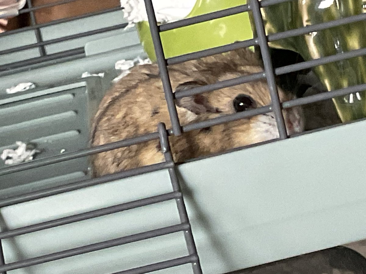 〖Alex / ganyus husband 〗❄️🩵 tweet media