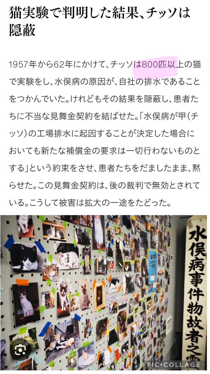 たまき tweet media