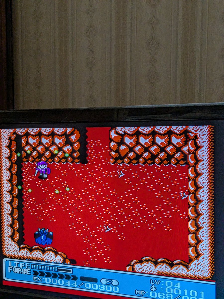 MASA（19870205） tweet media