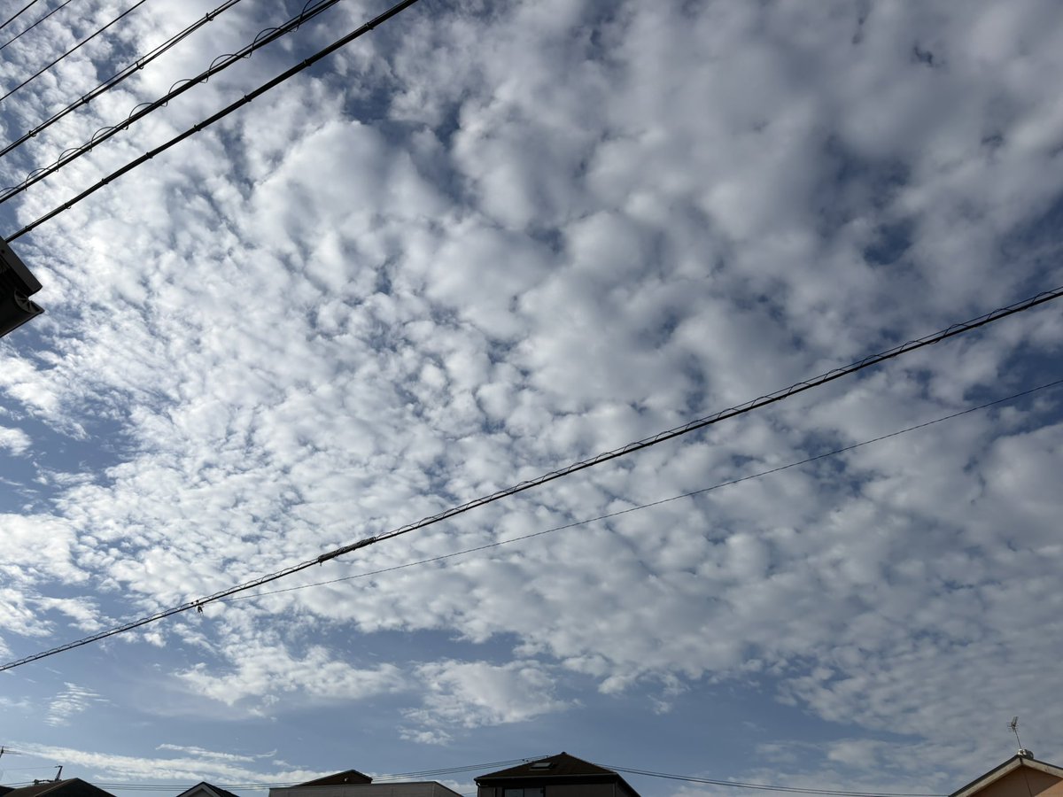 カトリーヌ tweet media