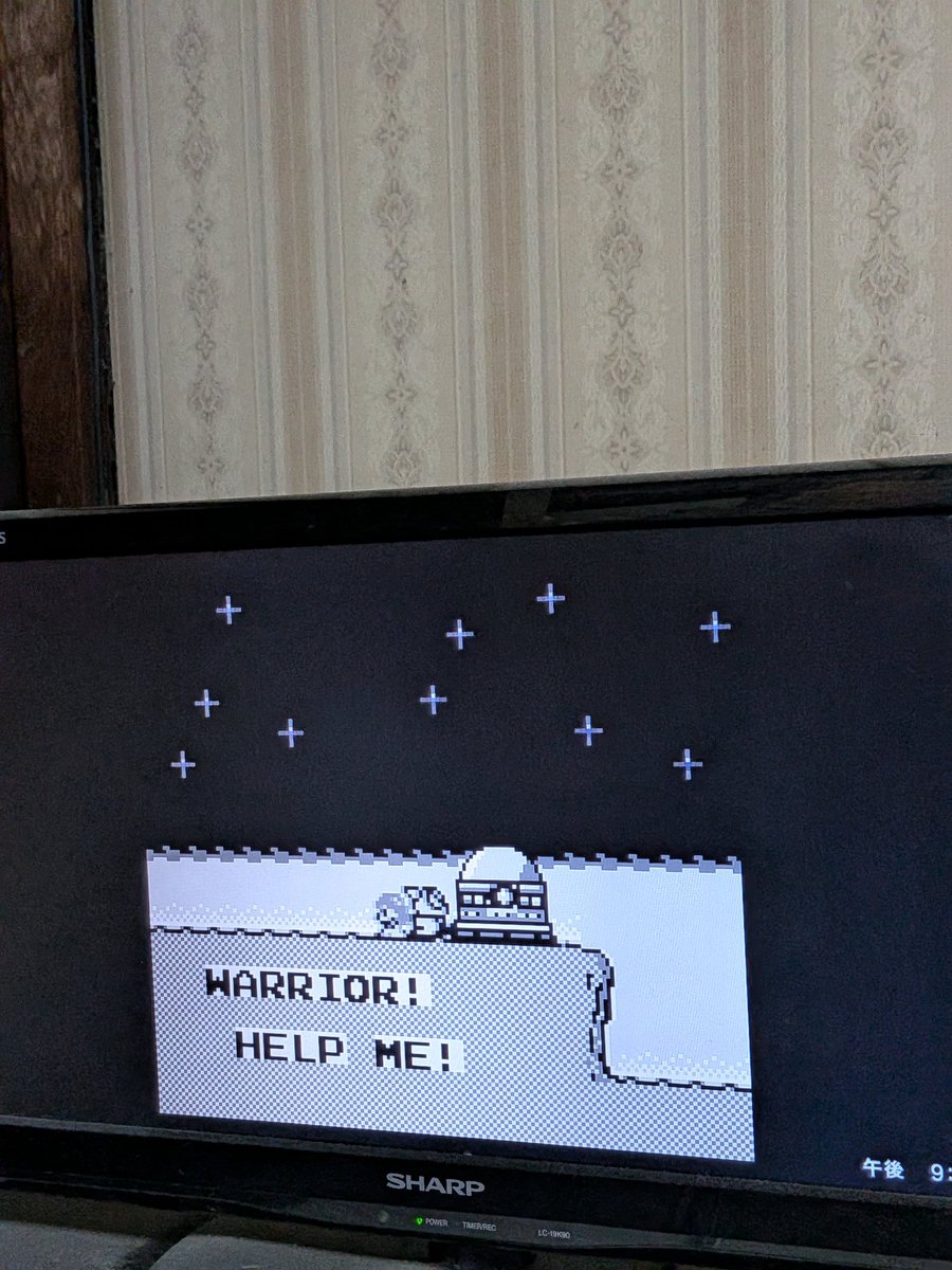 MASA（19870205） tweet media