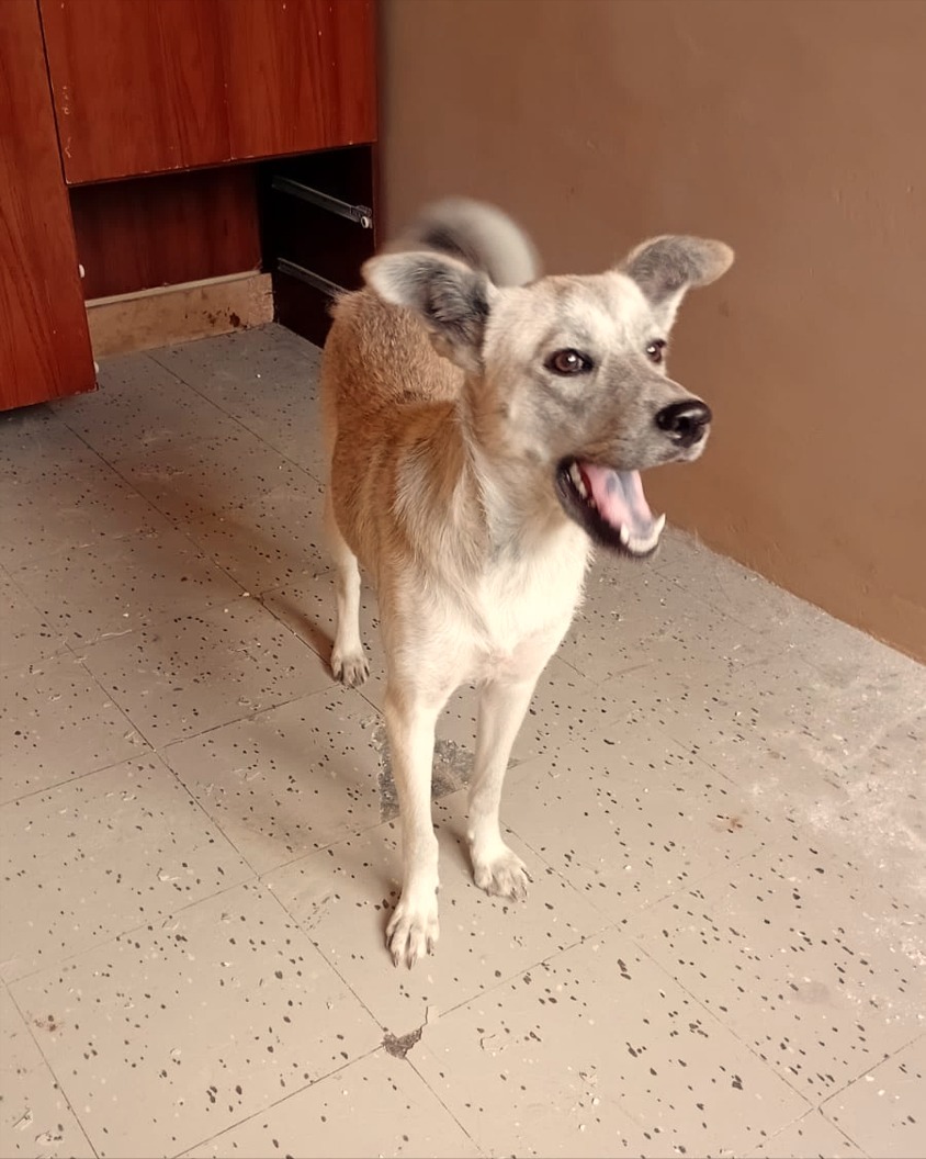 Mike Niken tweet media