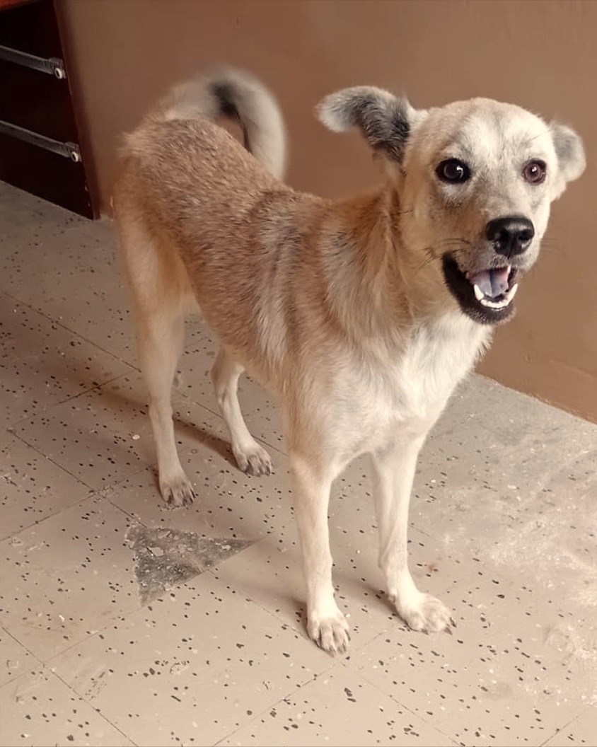 Mike Niken tweet media