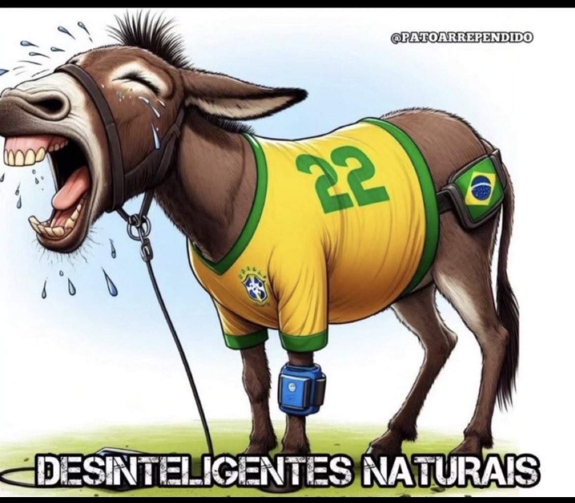 Montanhas do Vale tweet media