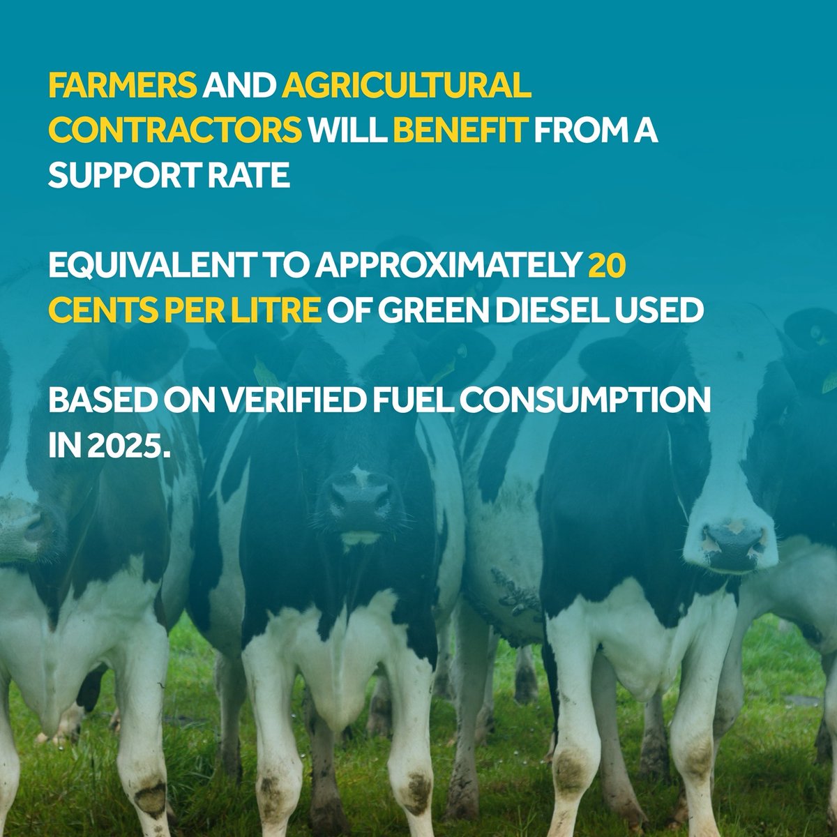 Fine Gael tweet media